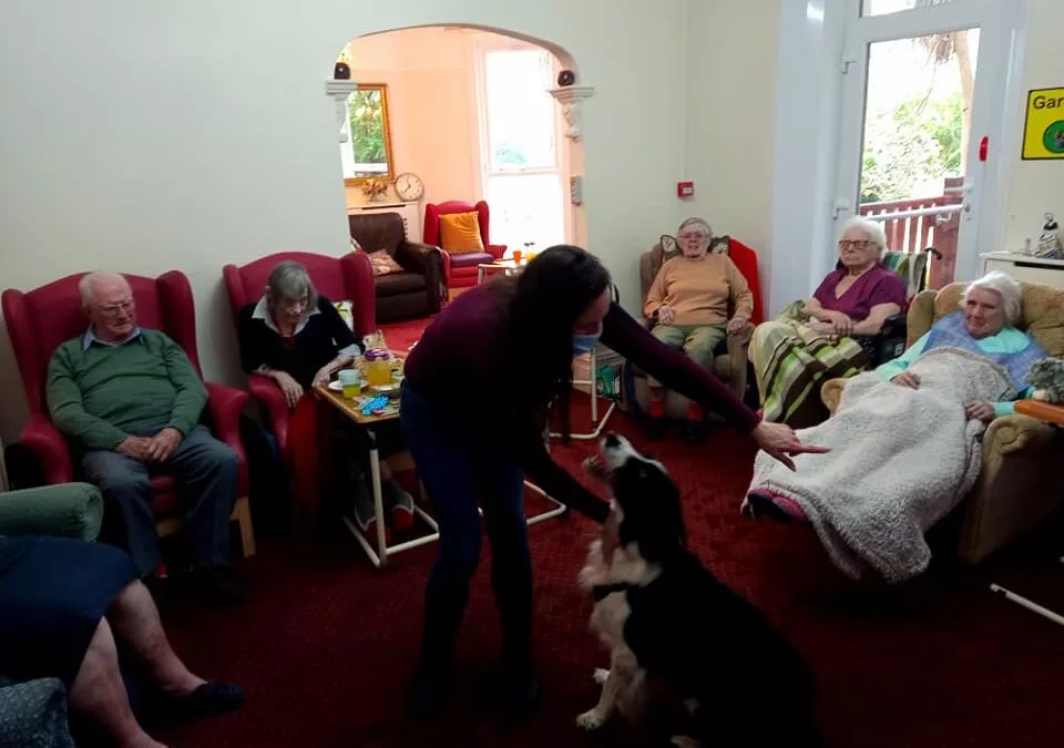 Pet activites with Delboy the Dog