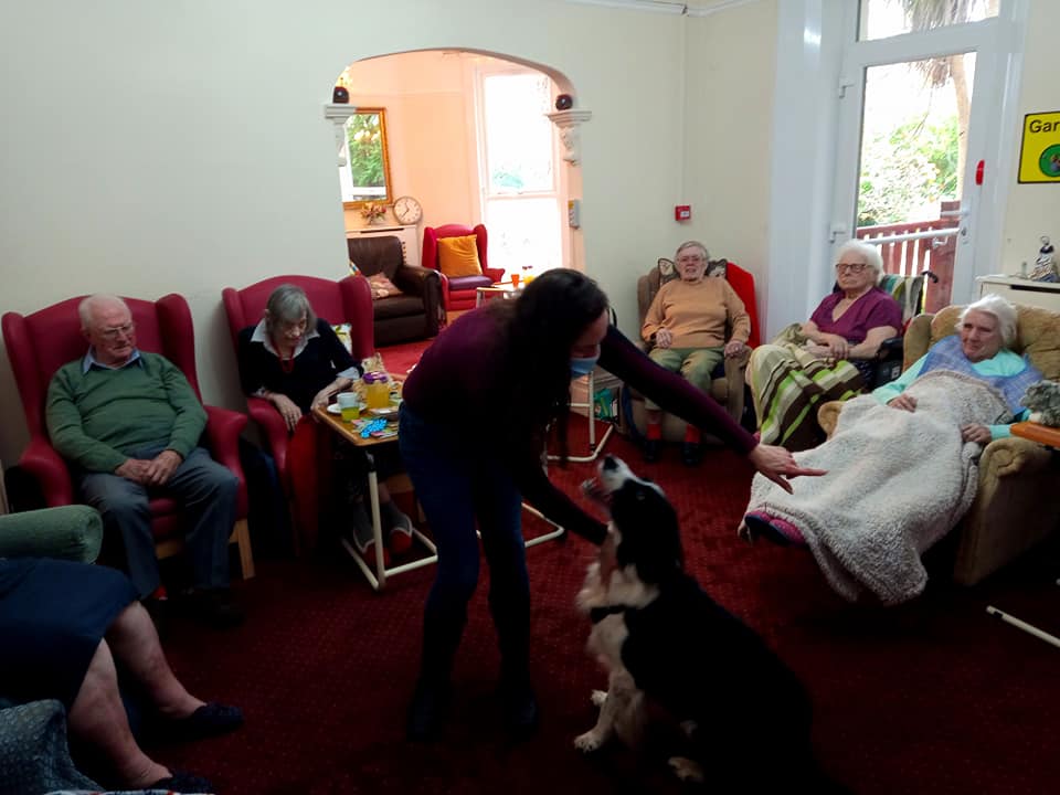 Delboy the dog having fun with the residents