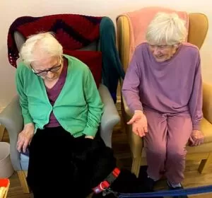 petting activity at aveland court