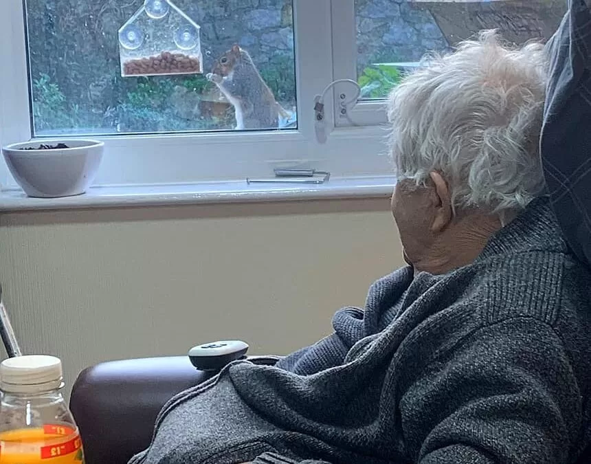 Bringing joy to our resident and wildlife