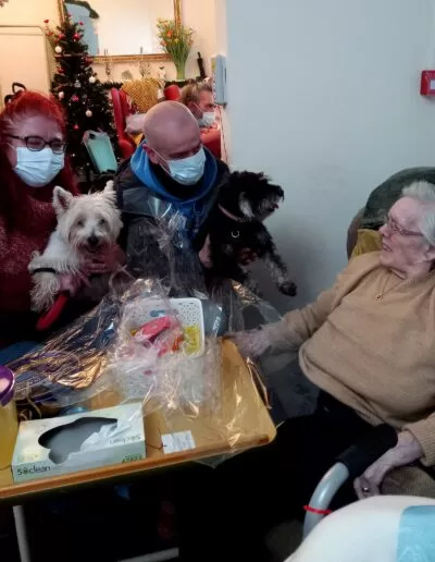 Visits from pets on Christmas day