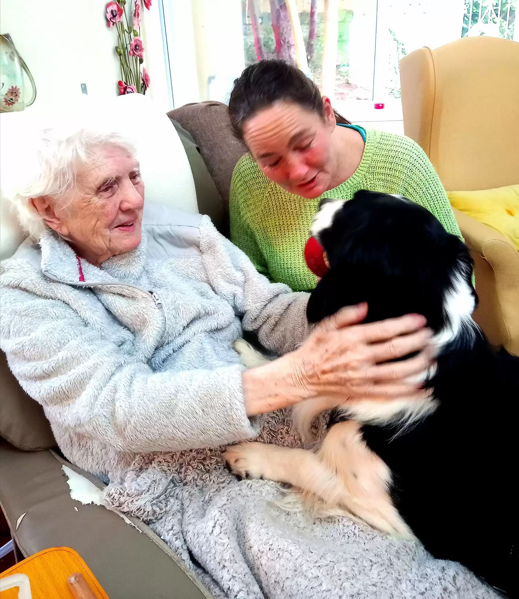 Delboy the Dog bringing the ball to a resident