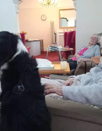 Residents playing with Delboy the Dog