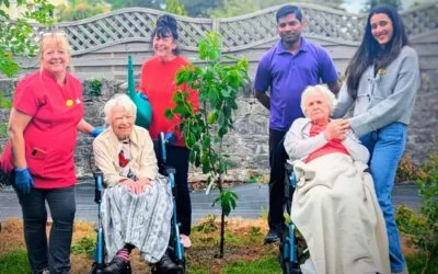 🌎World Environment Day💚